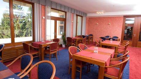 Hotel Hartman Olešnice v Orlických h.