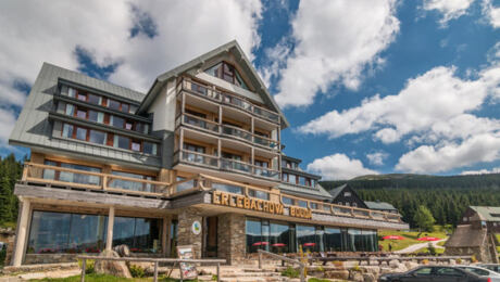 Realizace Erlebachovy boudy