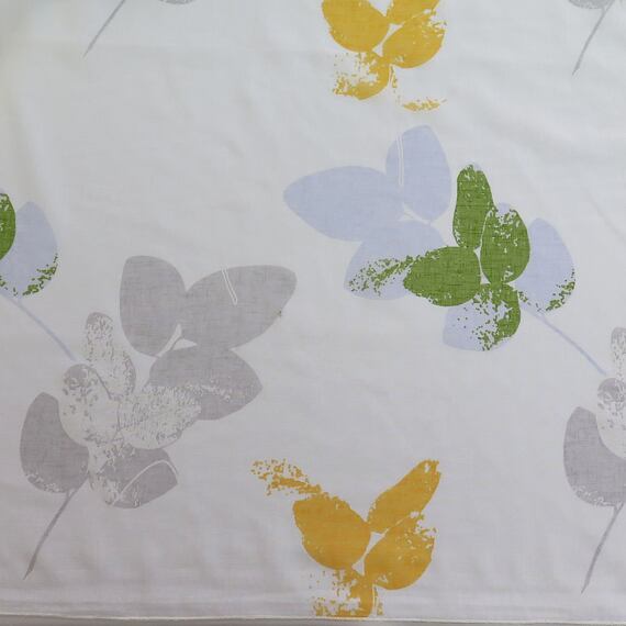 Listy žluto- zelené